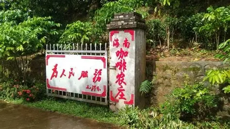 兴隆咖啡谷