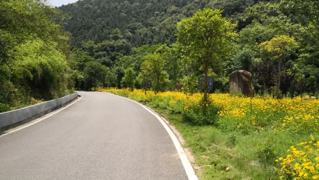 九阜山生态旅游景区