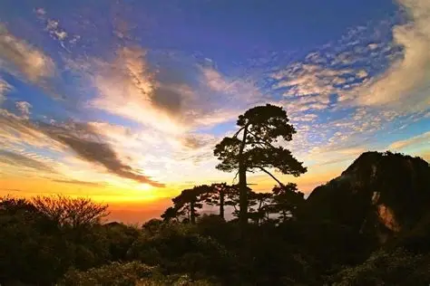 三清山田园牧歌