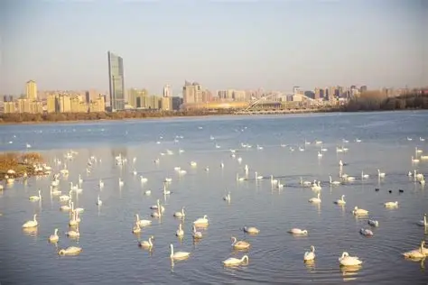 三门峡