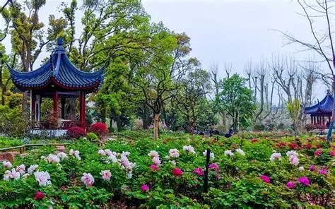 上海植物园