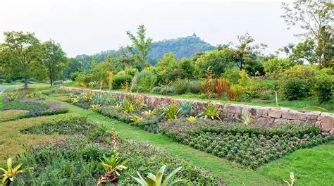 上海辰山植物园
