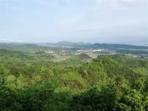 云碧峰国家森林公园