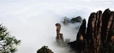巨蟒出山