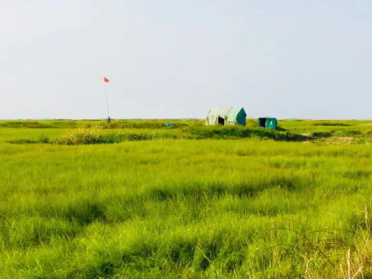 鄱阳湖大草原景区