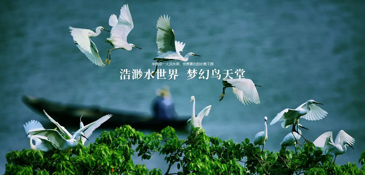 鄱阳湖湿地科学园