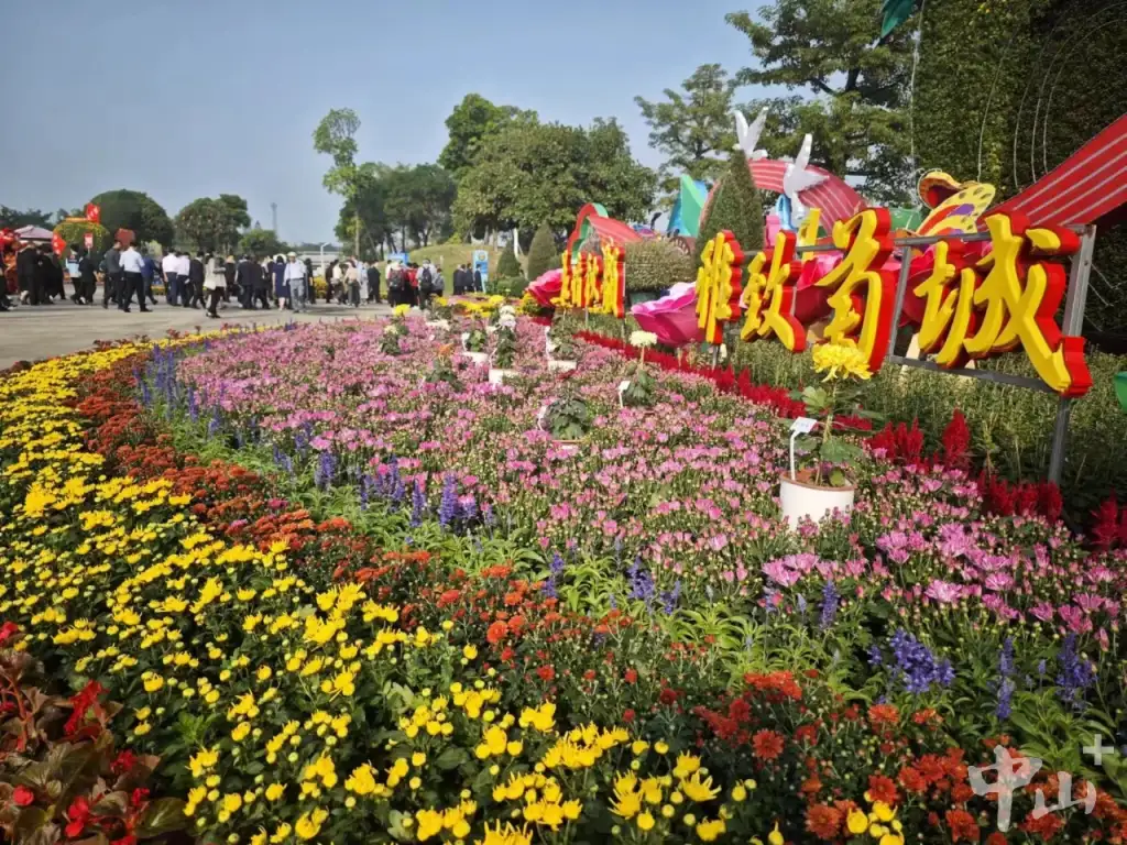 小榄菊花会