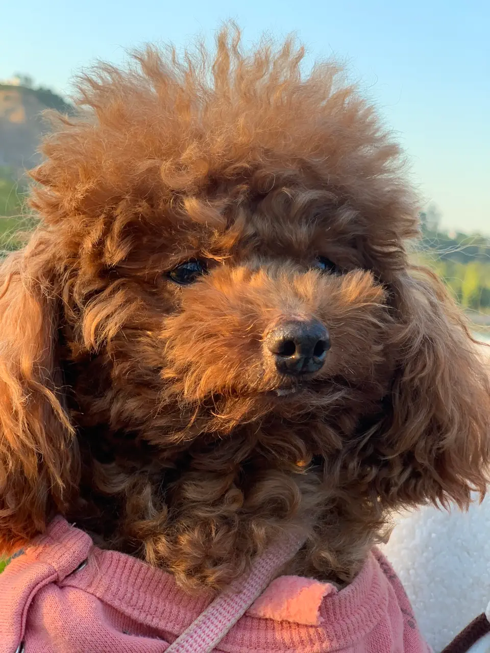 金钟水库
