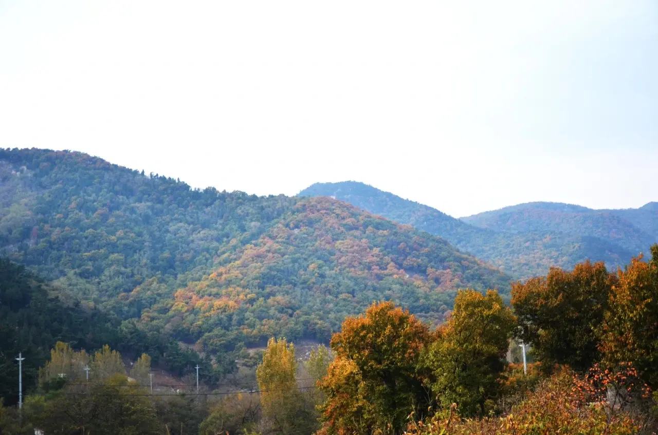 莒南县坪上镇山底村大山风景区