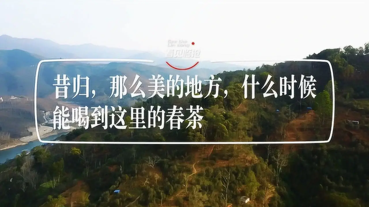 昔归古茶园