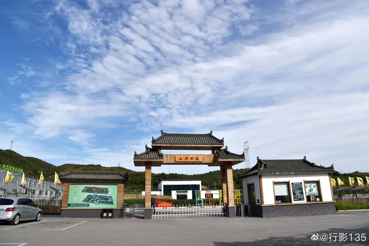 大梨树村