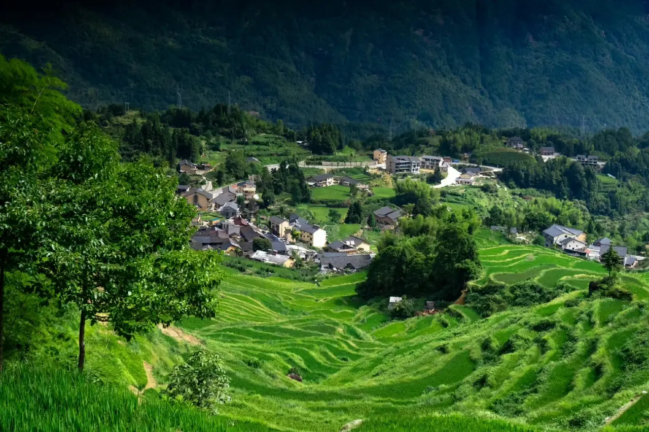 云和梯田