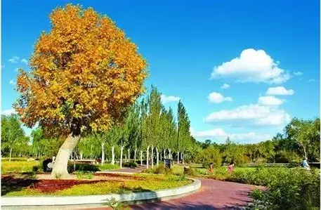 乌海市植物园
