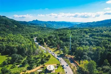 达坂城东沟河谷次生林景区