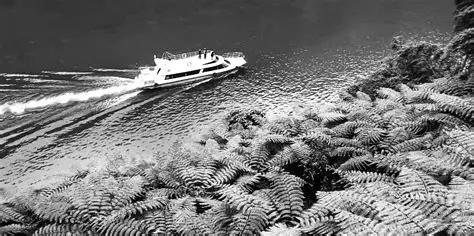 嘉阳·桫椤湖旅游景区