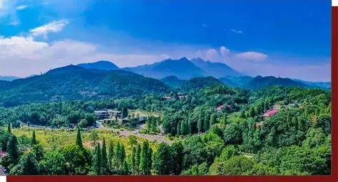 九仙岭森林公园