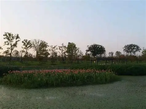 芳兰湖景区