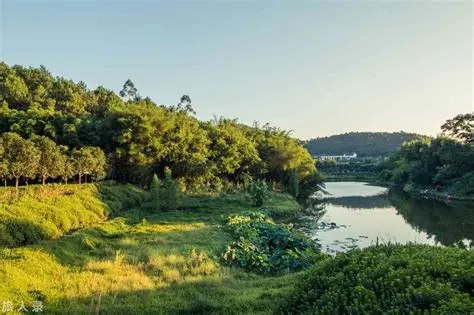 石牛山森林公园