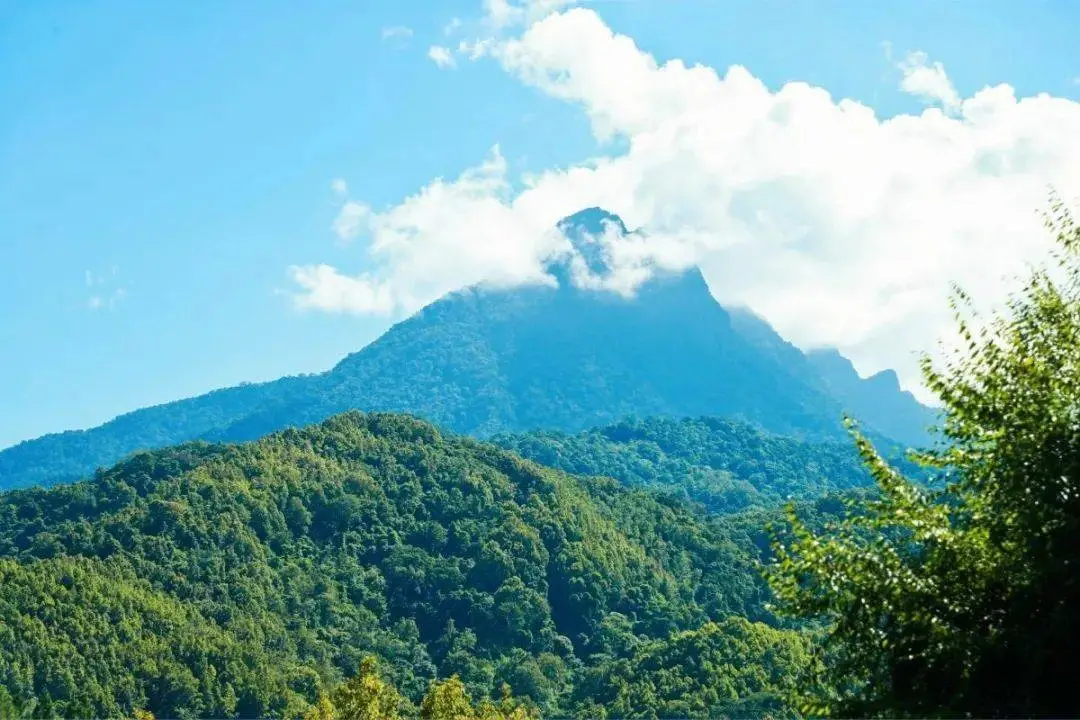 五指山国家级自然保护区
