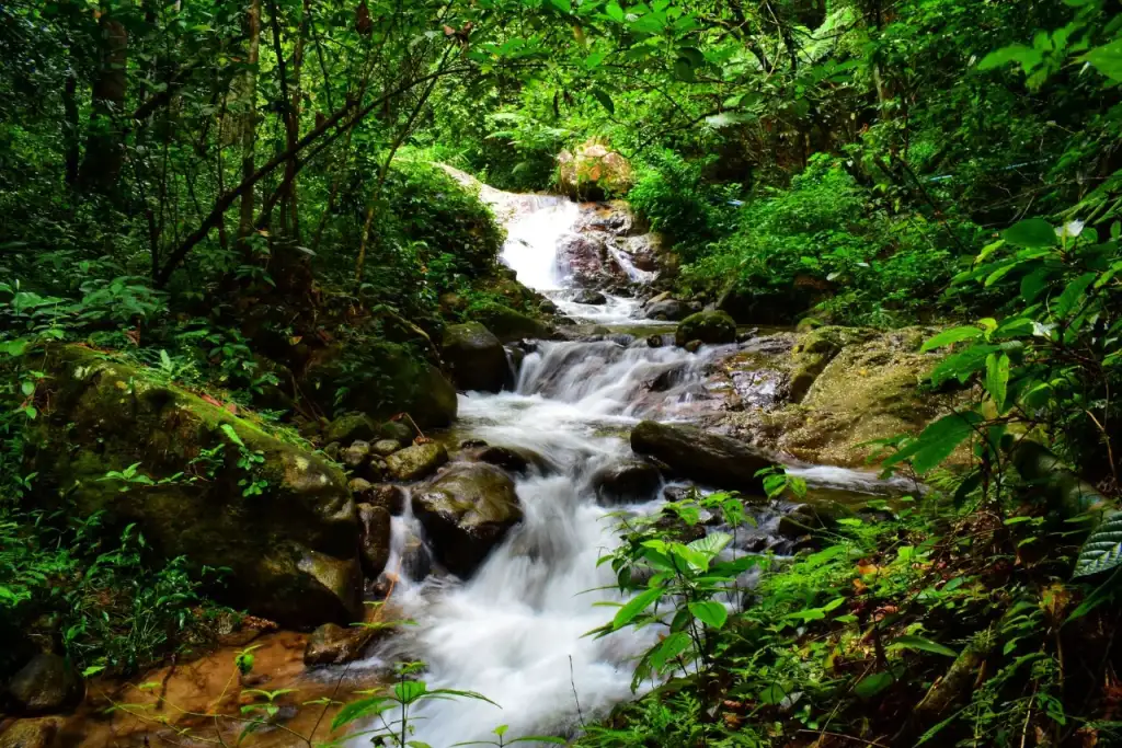 五指山热带雨林风景区