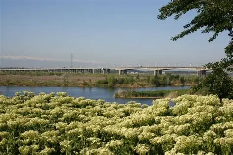 伊犁河风景区
