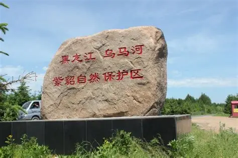 乌马河紫貂自然保护区