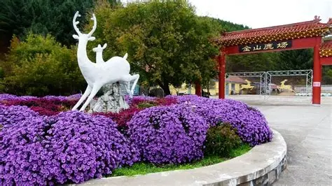 金山鹿苑
