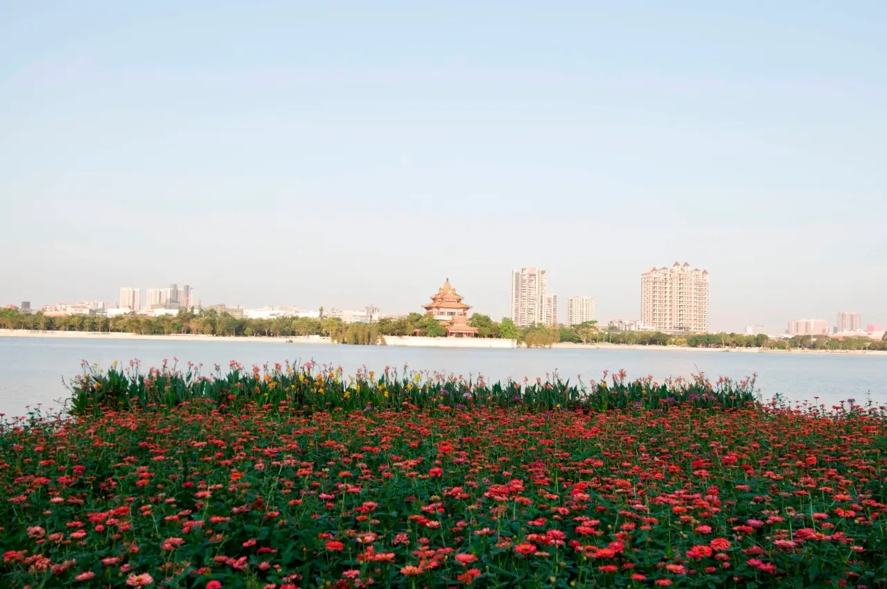顺峰山公园