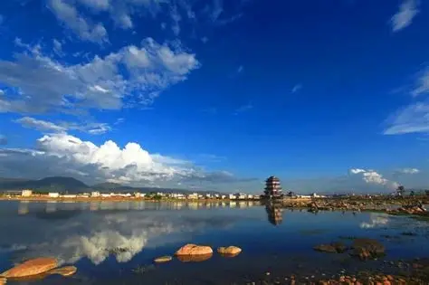 青华海