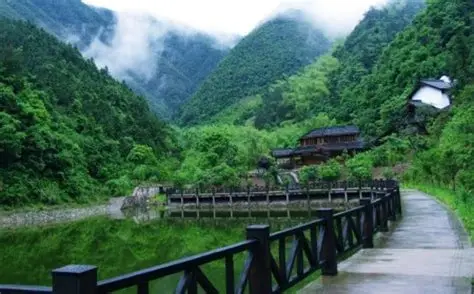 何家冲