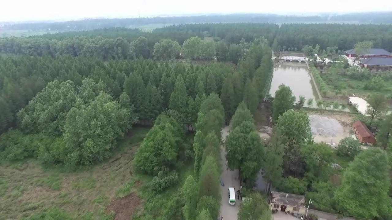 息州杉海景区