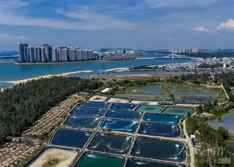 儋州湾