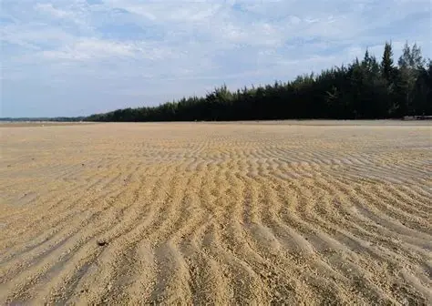光村银滩