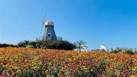 军屯花果园