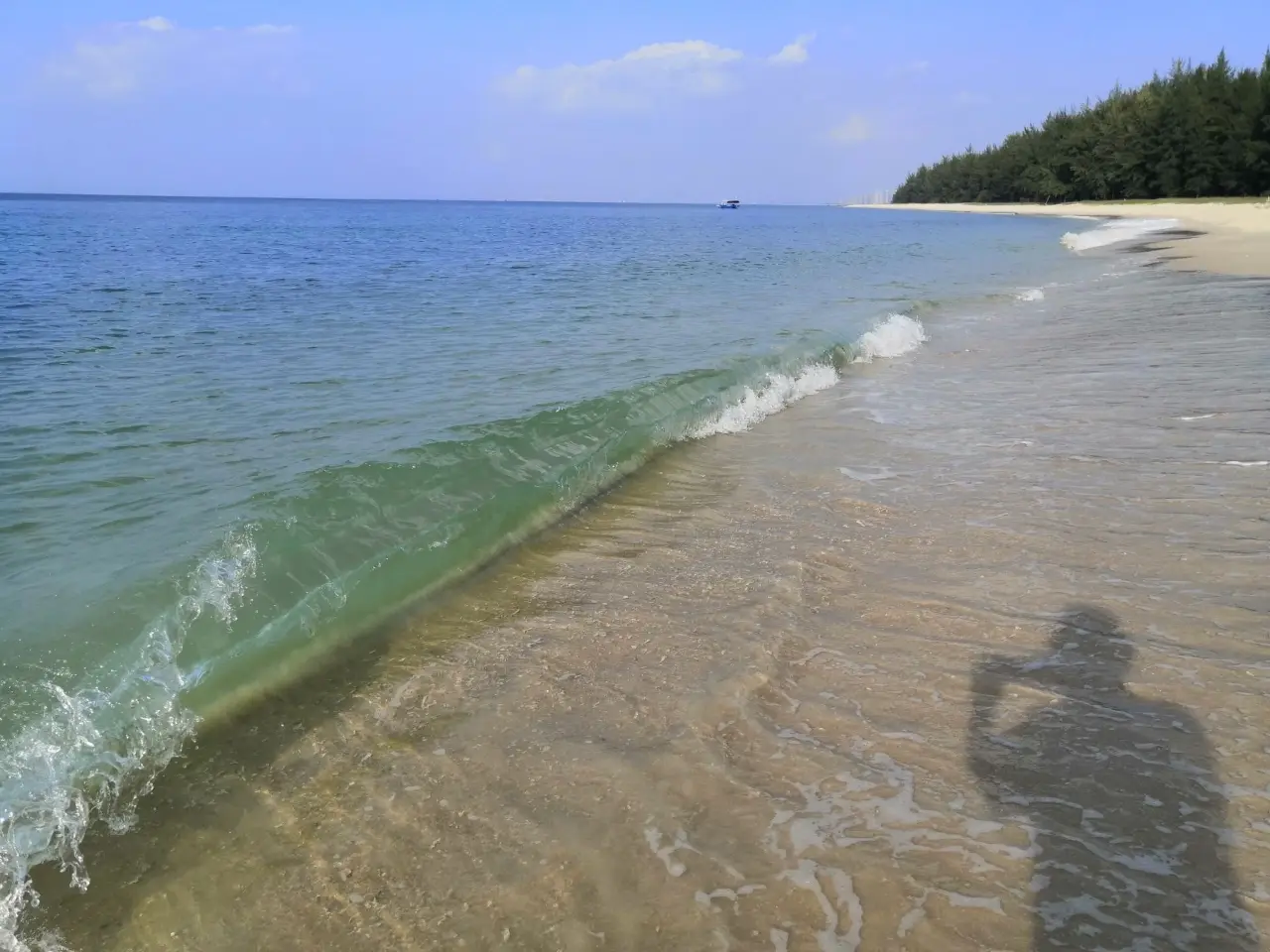 叶榕海滩