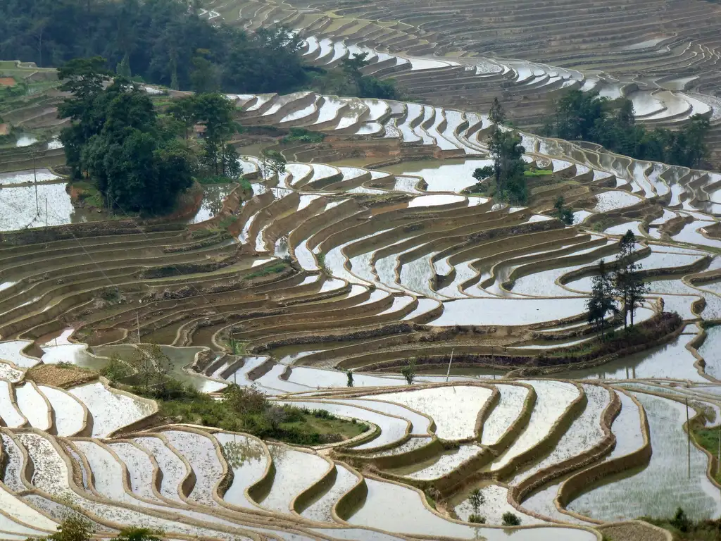 元阳梯田景区