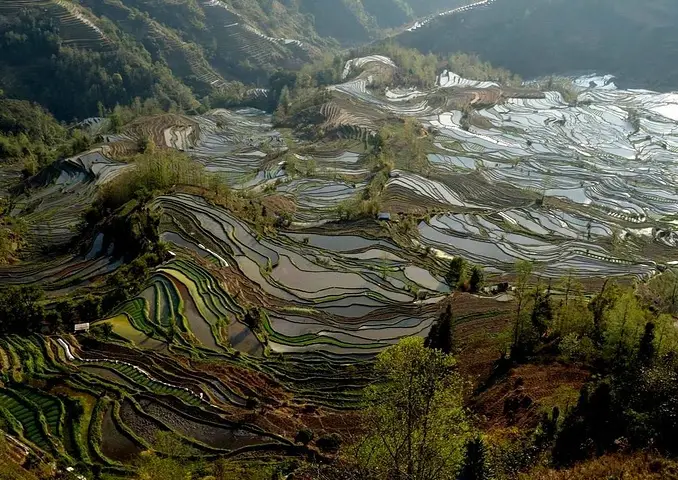 老虎嘴梯田