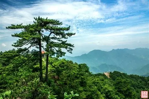 万佛山风景区