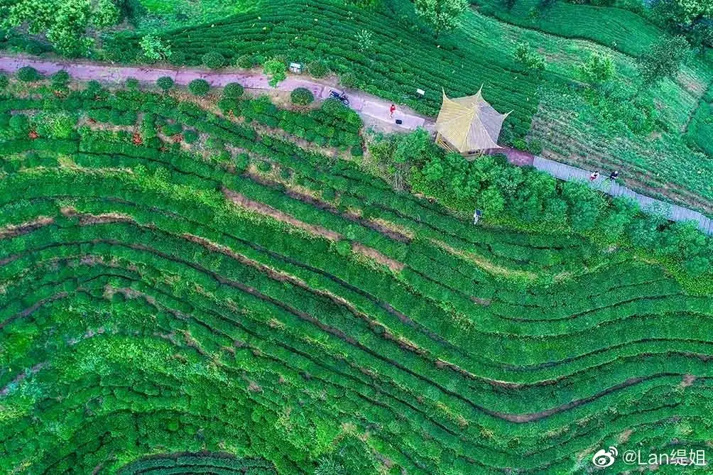 六安西茶谷主题公园