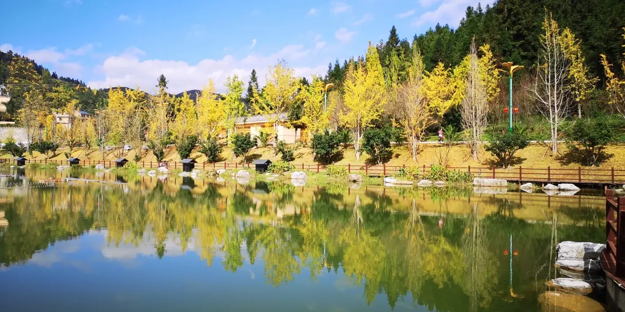 妥乐古银杏旅游景区