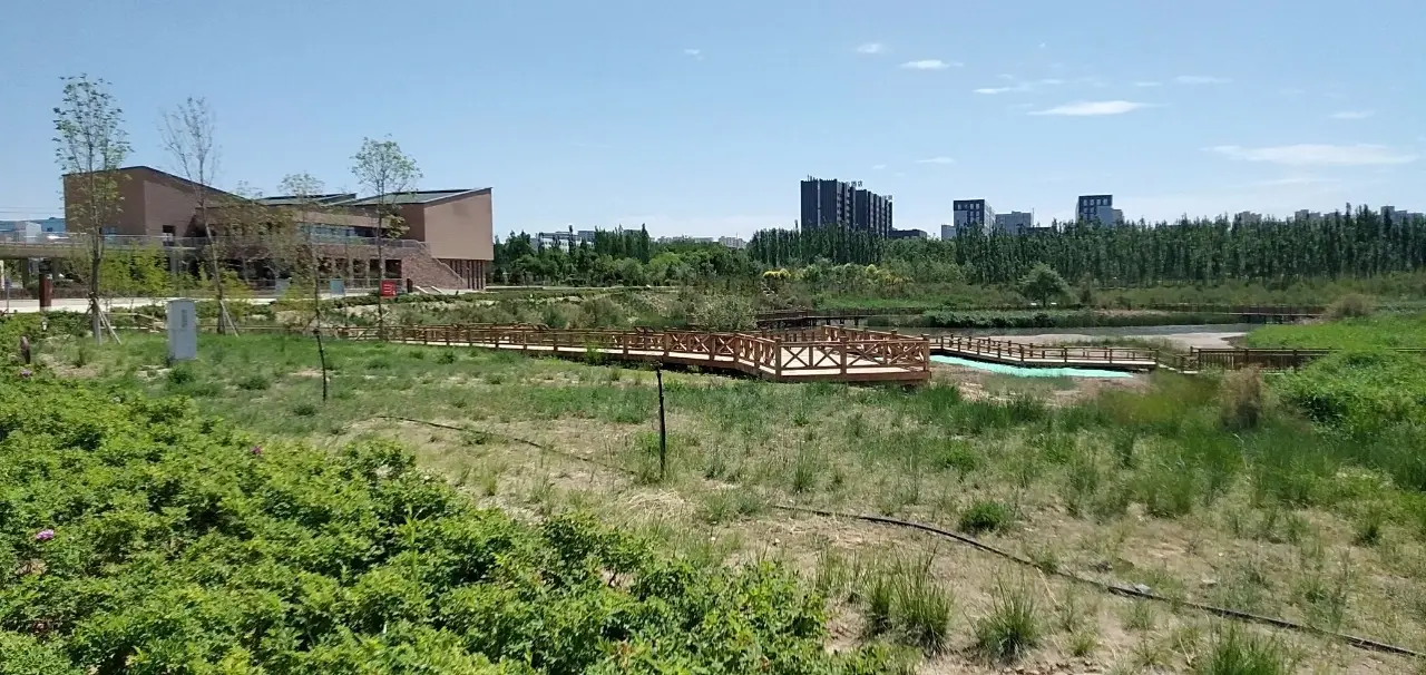 兰州秦王川国家湿地公园
