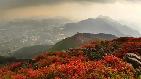 兴隆山