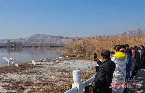 达川天鹅滩