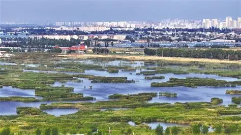 包头昆都仑河国家湿地公园