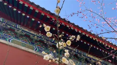 北京植物园