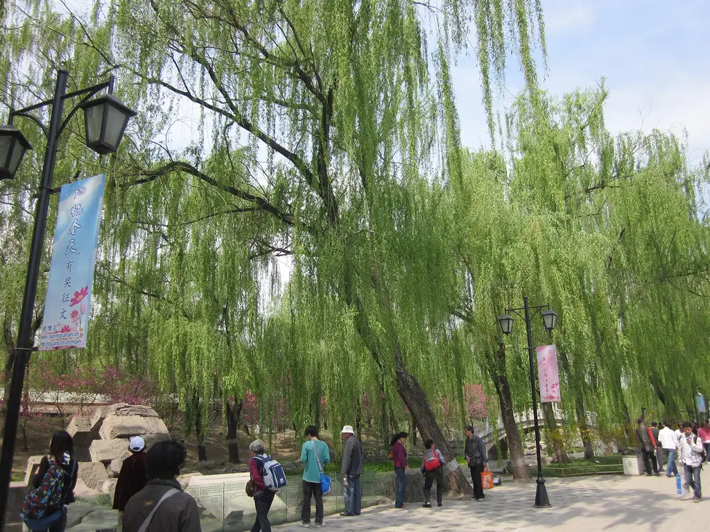 圆明园遗址公园