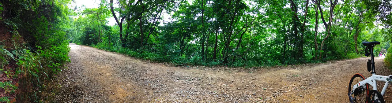 紫金山