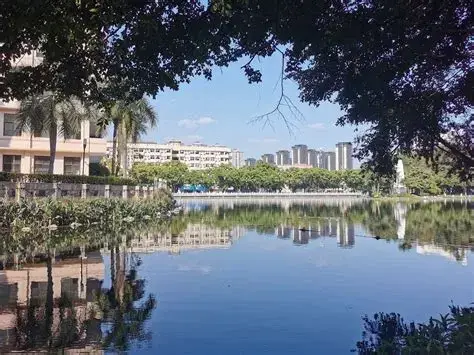 广西大学