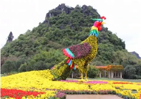 花花大世界