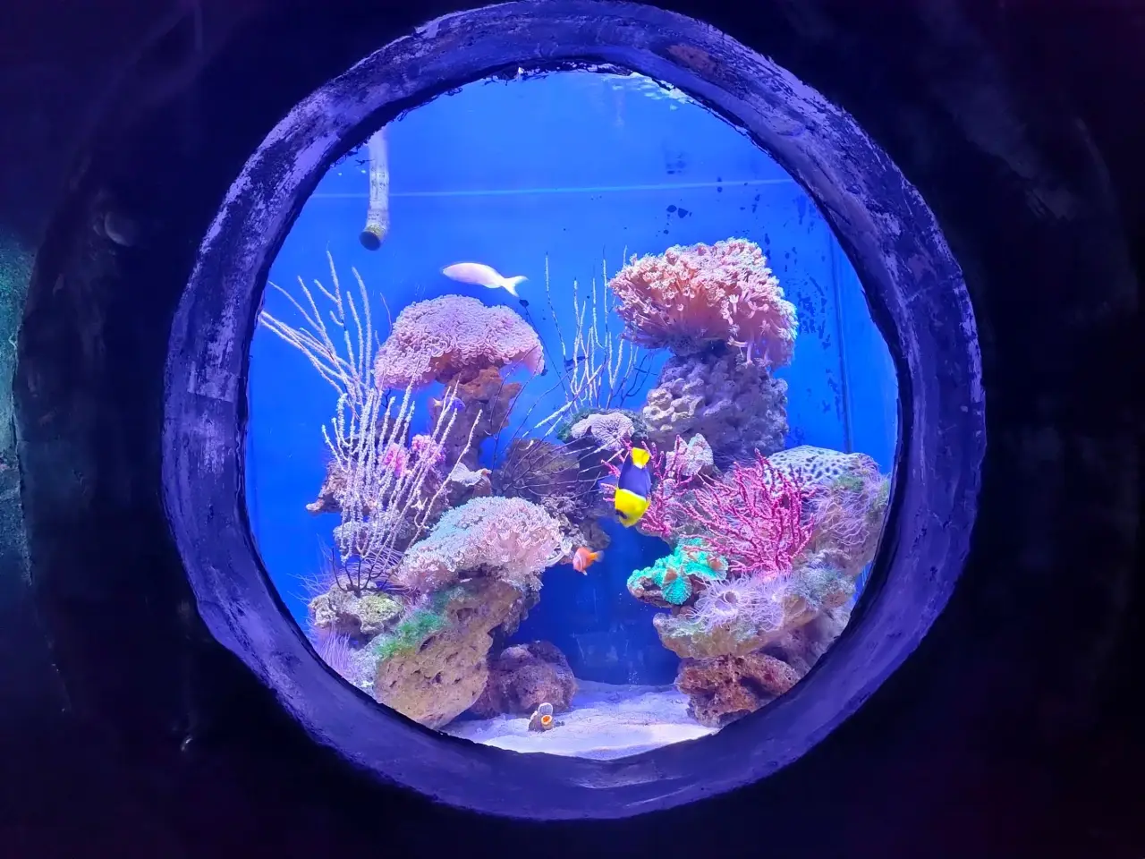 南昌海洋公园